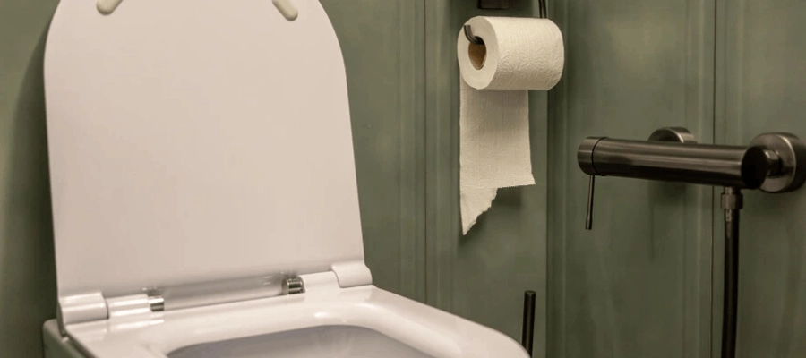 Fezes verdes: o que a cor do cocô diz sobre a saúde? 5 causas!