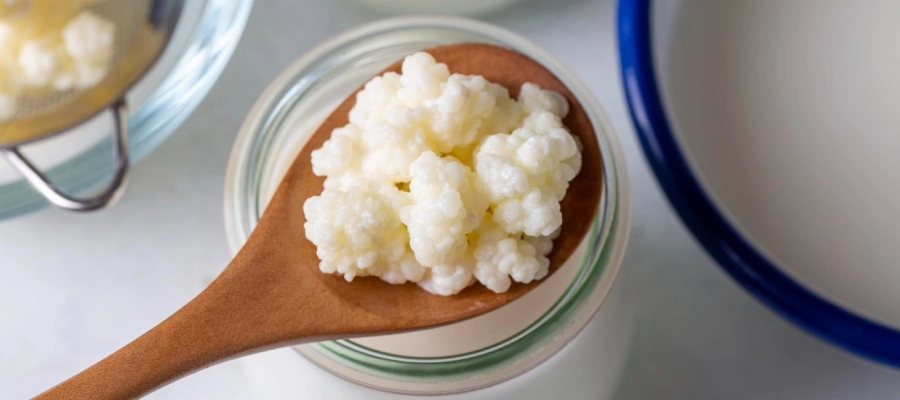 Imagem do post Benefícios do kefir: entenda para que serve e cuidados ao consumir